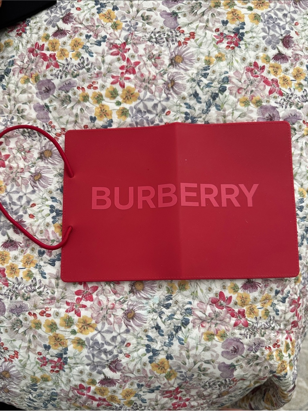 Burberry Red Logo Passport Holder Silicone 07